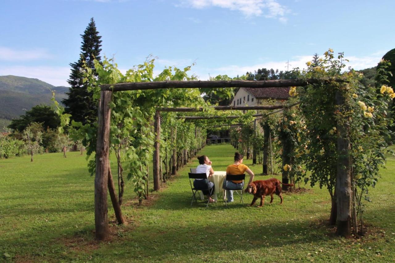 Casa Gaia Guest House Lucca Luaran gambar