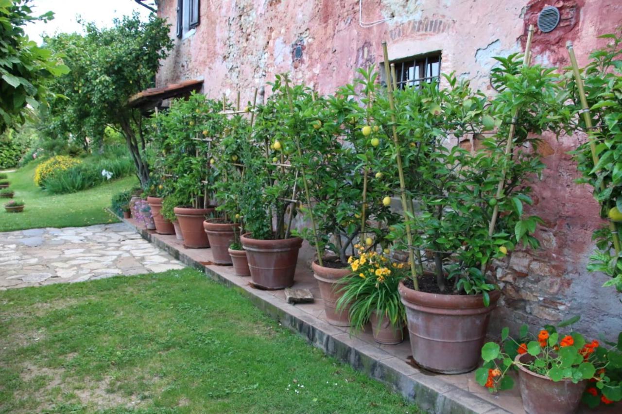 Casa Gaia Guest House Lucca Luaran gambar